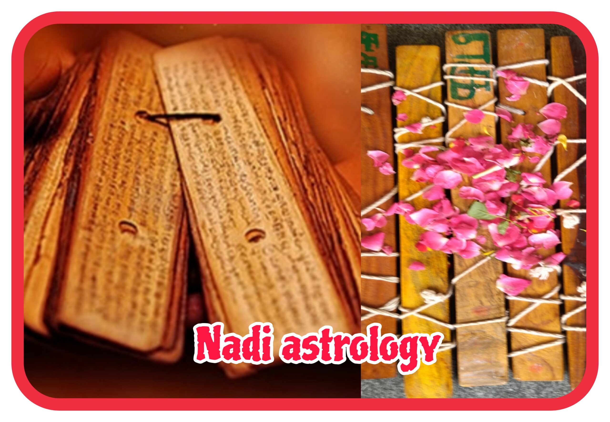 Nadi Astrology Palm Leaves