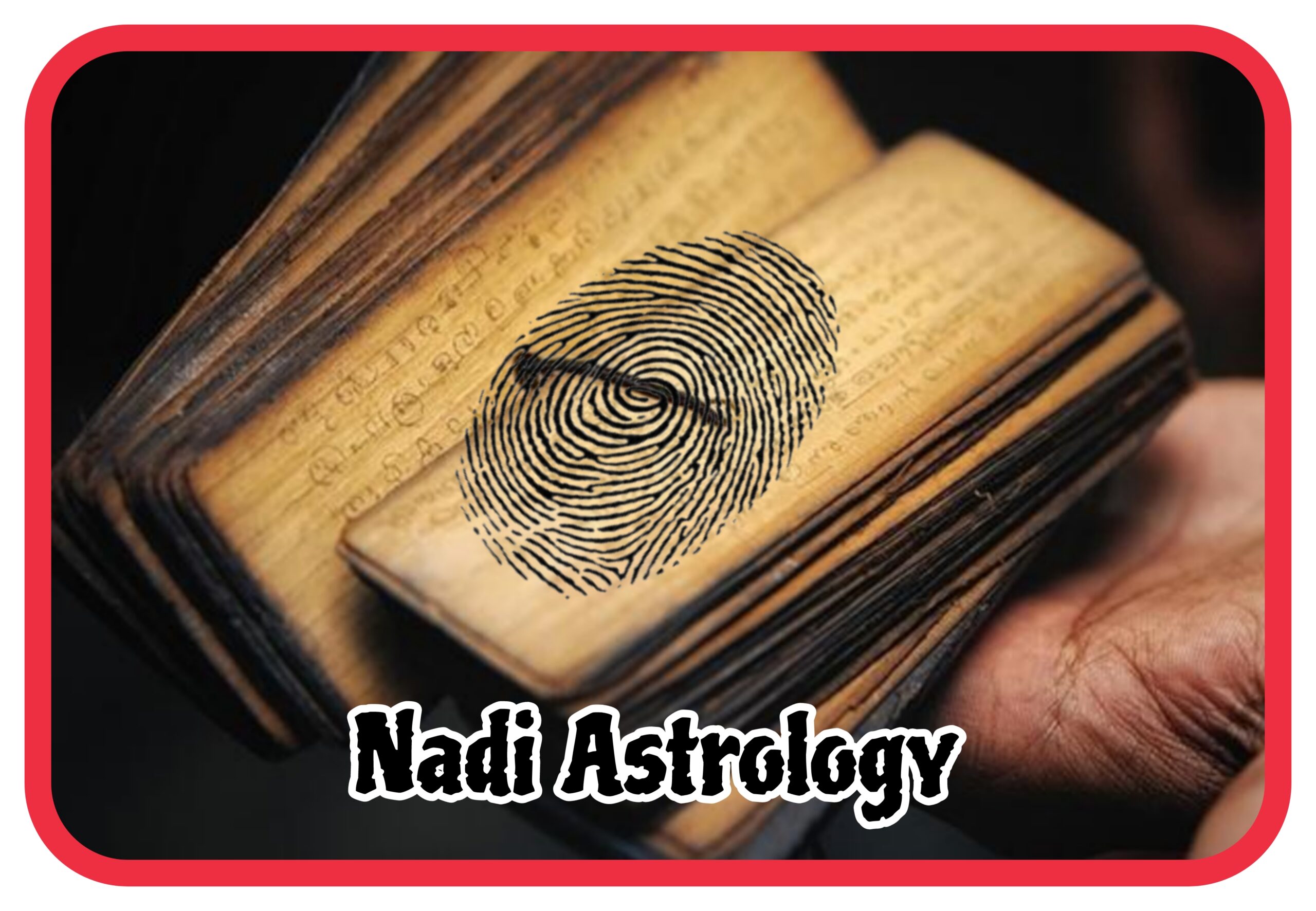 Nadi Astrology Palm Leaves