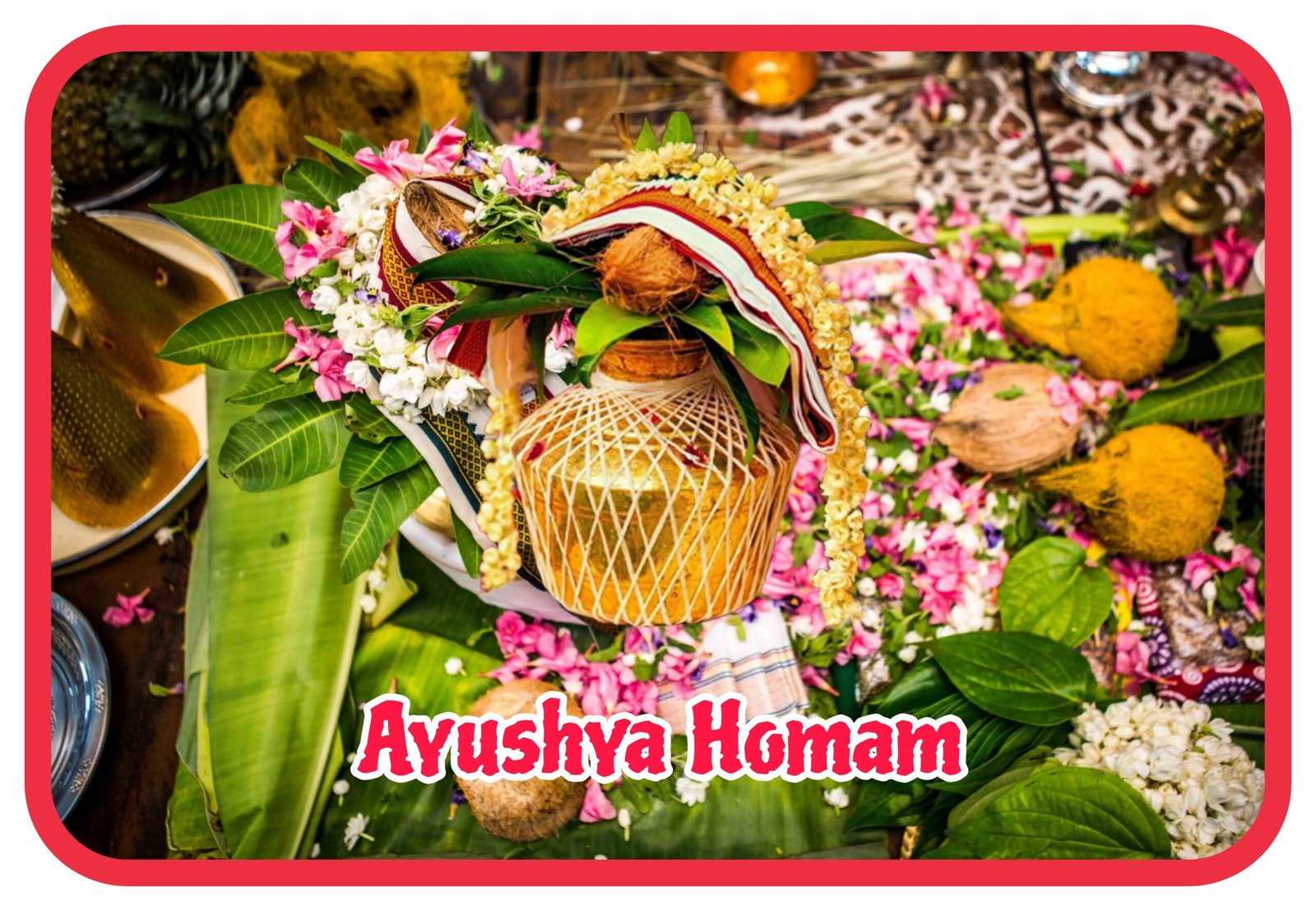 Ayushya Homa