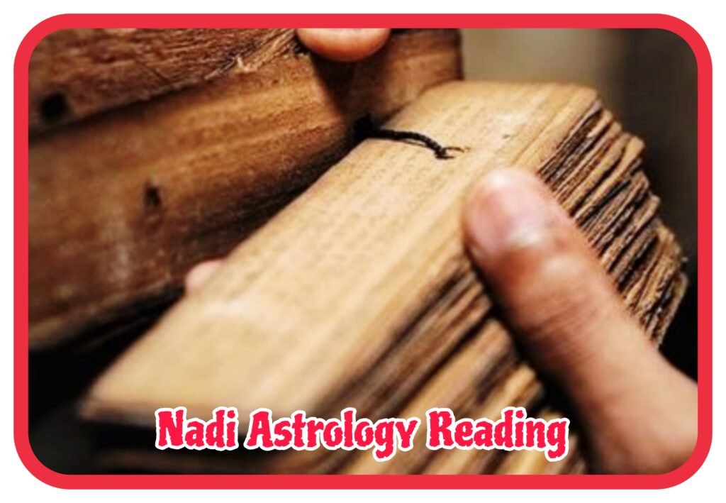 Nadi Astrology Reading